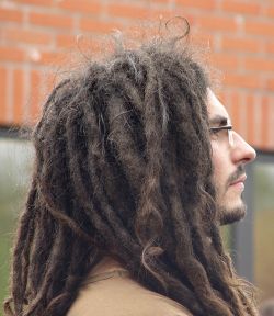 Hår (dreadlocks)